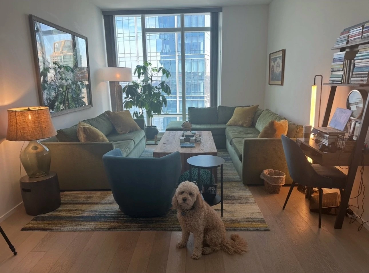 A dog sits comfortably in a living room